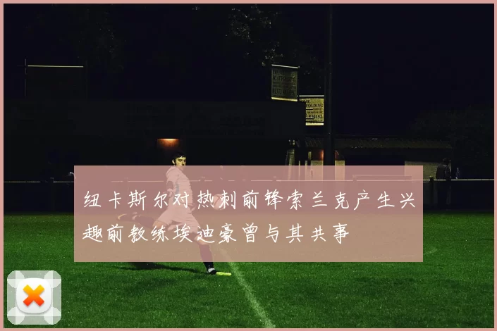 纽卡斯尔对热刺前锋索兰克产生兴趣前教练埃迪豪曾与其共事